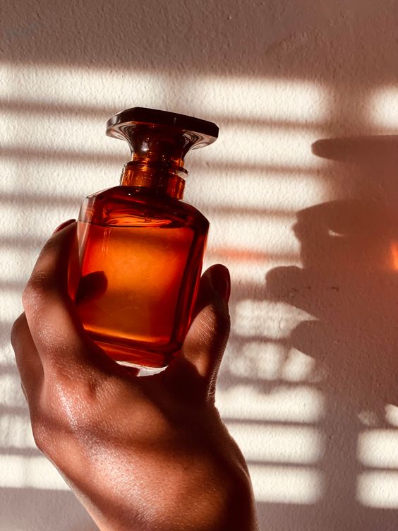 Unleashing the Power of Scent: How Aroma, Our Most Ancient Sense, Connects Memory and Behavior.