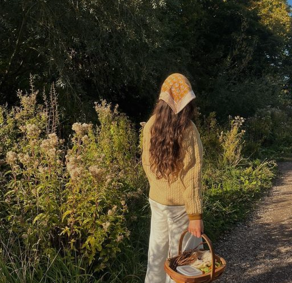 Autumn Foraging in Portugal: Embracing the Healing Magic of Medicinal Herbs