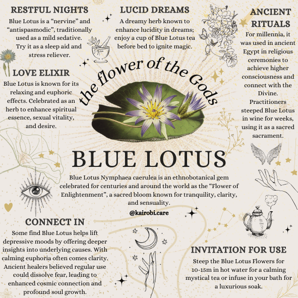 Mystic Blue Lotus Blossoms